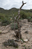Apache Trail