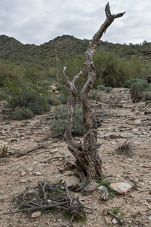 Apache Trail