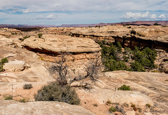 Canyonlands National Park Needles
