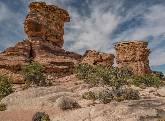 Canyonlands National Park Needles