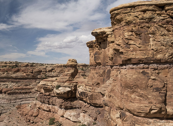 Canyonlands National Park Needles