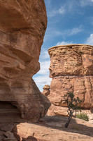 Canyonlands National Park Needles