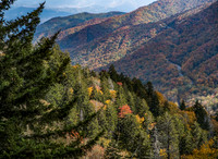 Fall Colors Blue Ridge Parkway