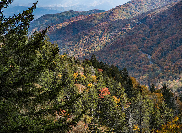Fall Colors Blue Ridge Parkway