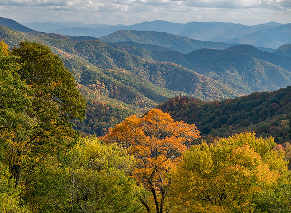 Fall Colors Blue Ridge Parkway