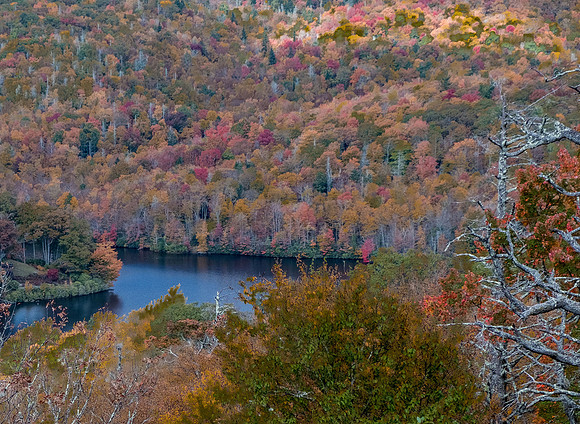 Fall Colors Blue Ridge Parkway