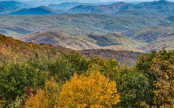 Fall Colors Blue Ridge Parkway