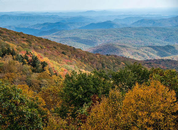 Fall Colors Blue Ridge Parkway