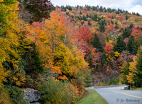 Fall Colors Blue Ridge Parkway