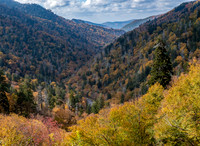 Fall Colors Blue Ridge Parkway