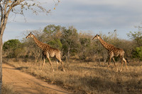 South Africa