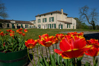 Bordeaux Wineries and Vineyards