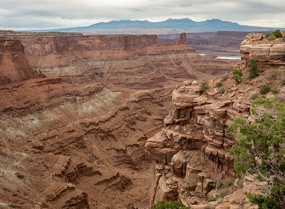 Dead Horse Point  Moab Utah