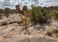Canyonlands National Park Needles