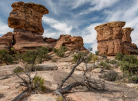 Canyonlands National Park Needles