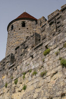 Cite de Carcassonne Medieval Fortress