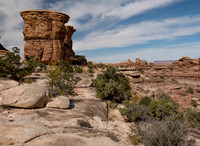 Utah Canyonlands National Park Needles