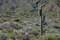 Apache Trail