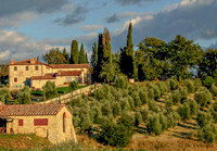A Villa and Olive Grove in Chainti