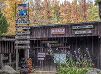 Great Smokey Mtns National Park