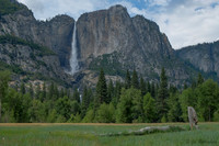 Waterfalls-Yosemite-National Park