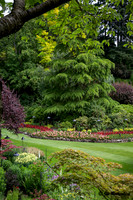 Gardens-Butchart