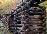 North Carolina     Paper Mill