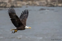 Conowingo Eagles