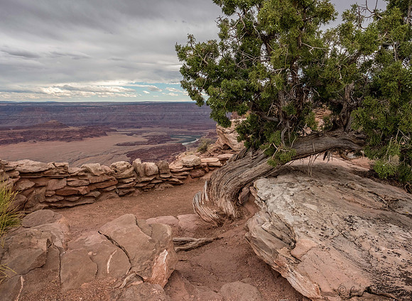 Dead Horse Point  Moab Utah