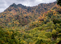 Great Smokey Mtns National Park