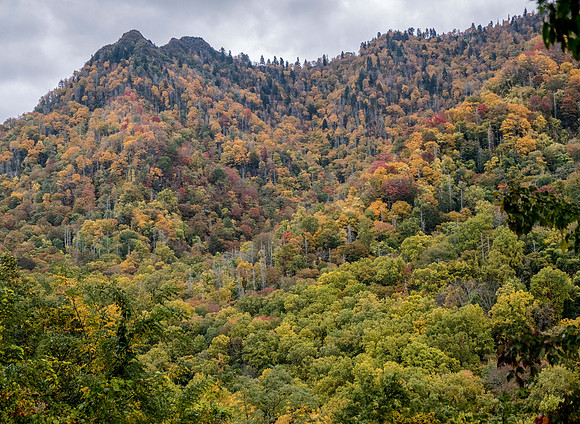 Great Smokey Mtns National Park