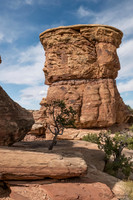 Canyonlands National Park Needles